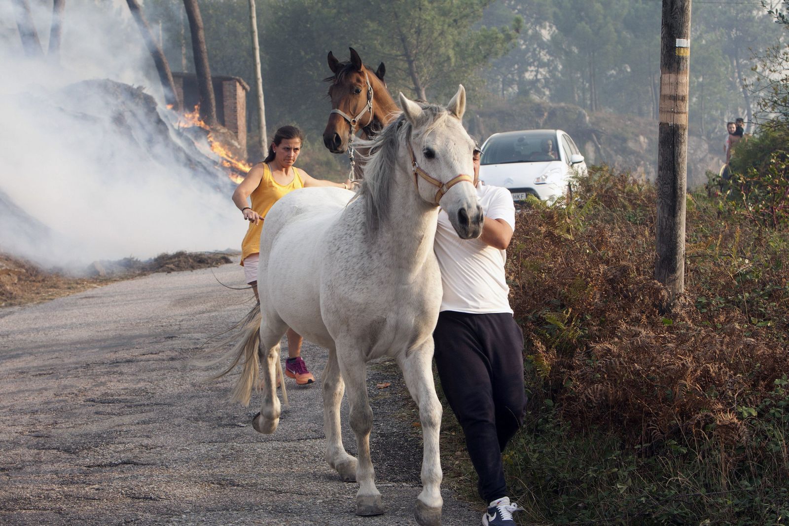 Los incendios declarados en Galicia, en imágenes