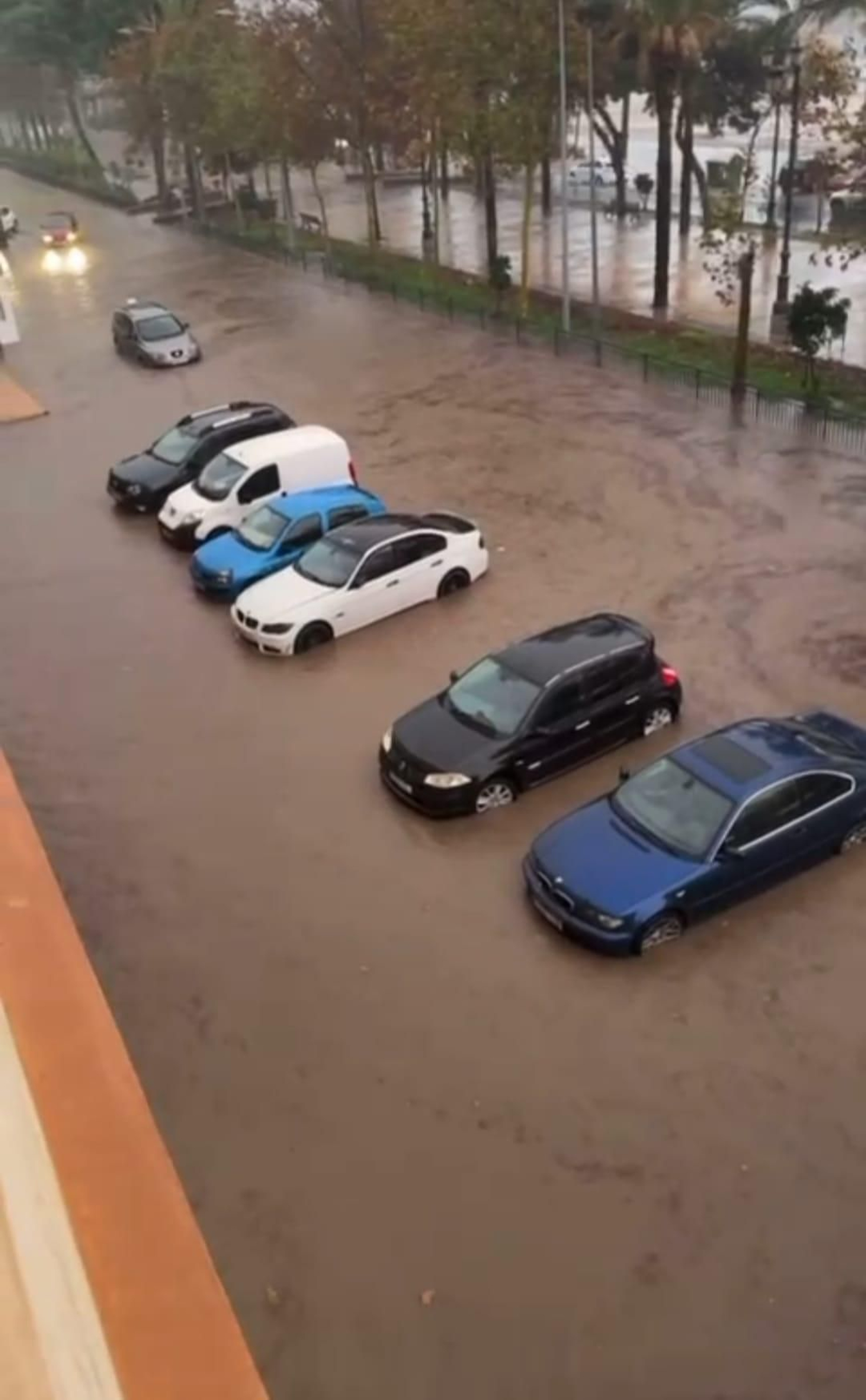 Bulevar de Vícar.