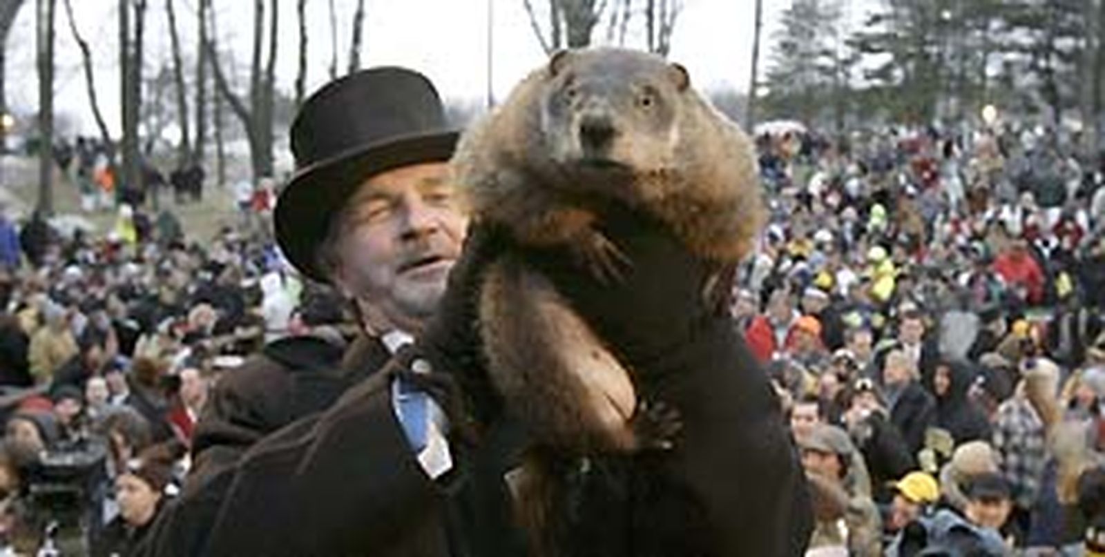 La marmota 'Phil' predice seis semanas más de invierno