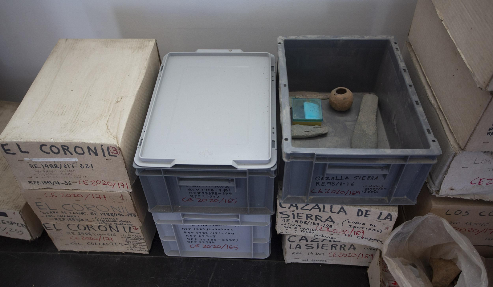 El traslado de las piezas del Museo Arqueológico, en imágenes.