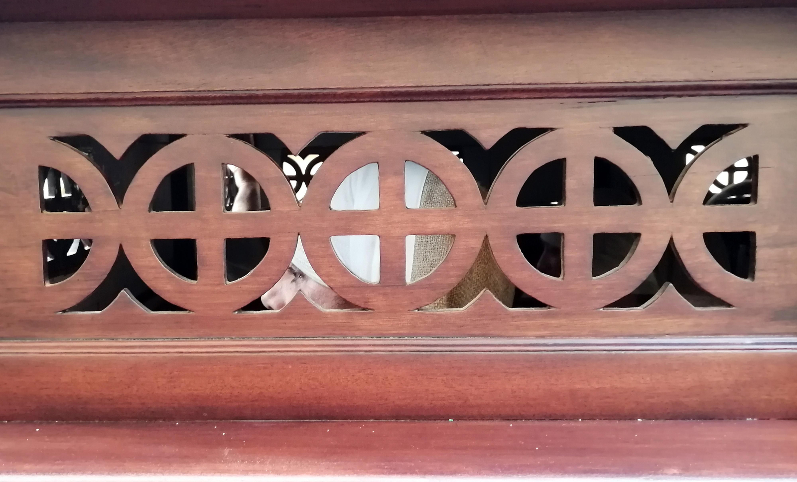 Las imágenes del Martes Santo en Puerto Real: Cristo del Perdón