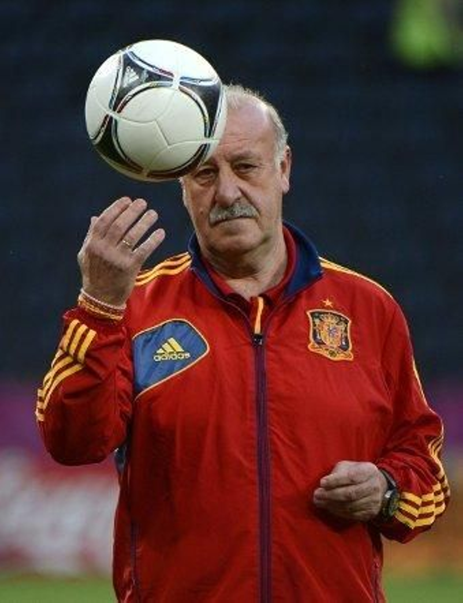 Del Bosque "duda" sobre la alineación ante Francia