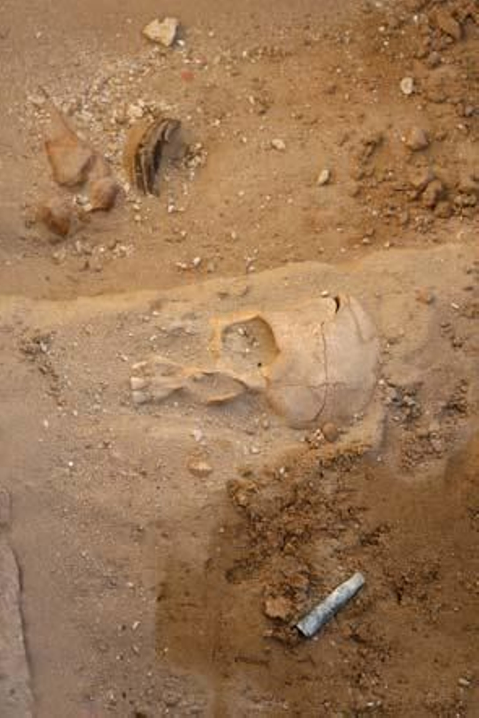 Hallan en Puerto Real una fosa con restos de más de cien fusilados durante la Guerra Civil

Foto: Borja Benjumeda