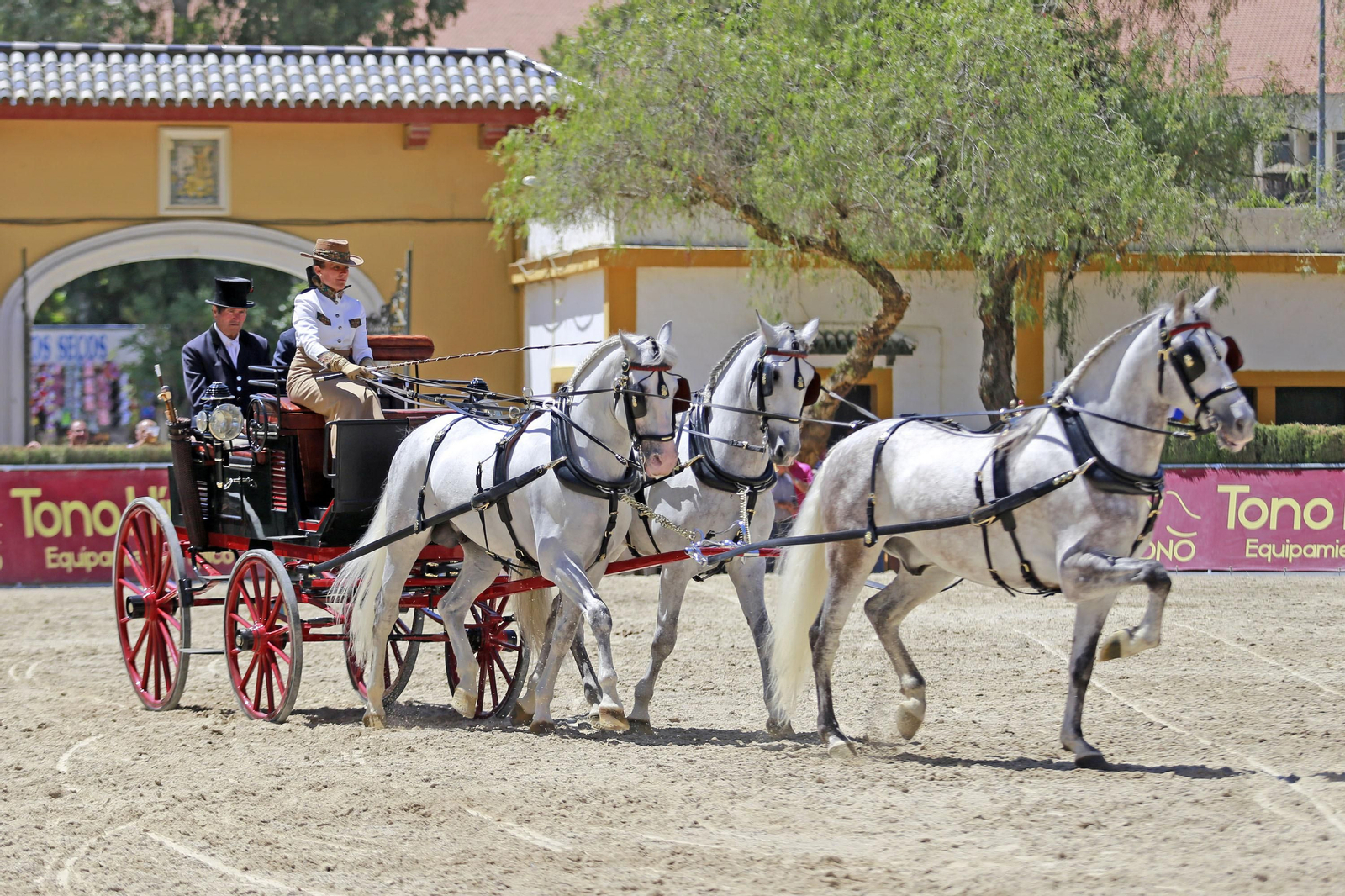 Trofeos de los concursos de Enganches y Morfológicos en la Feria de Jerez