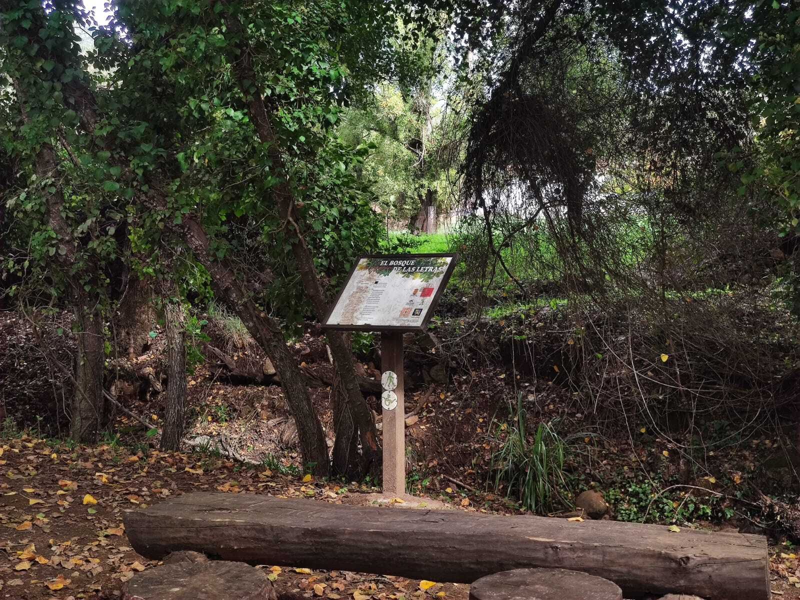 Una ruta familiar que enamora: el Bosque de las Letras en Santa Ana la Real