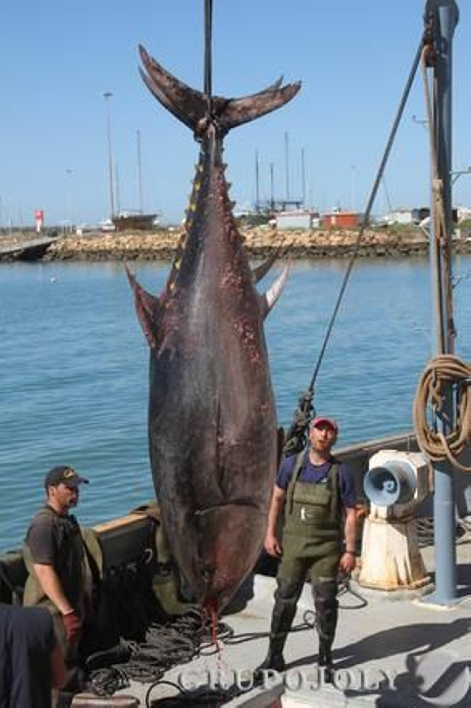 Foto: Manuel Aragon Pina