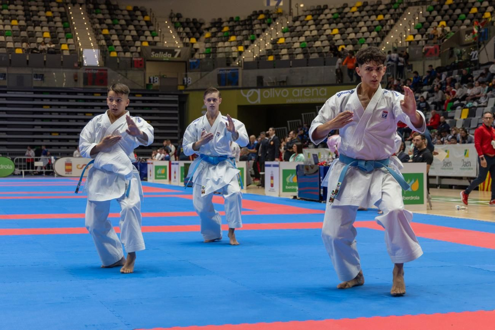 Campeonato de España de Kárate cadete, júnior y sub 21 brilla en Jaén