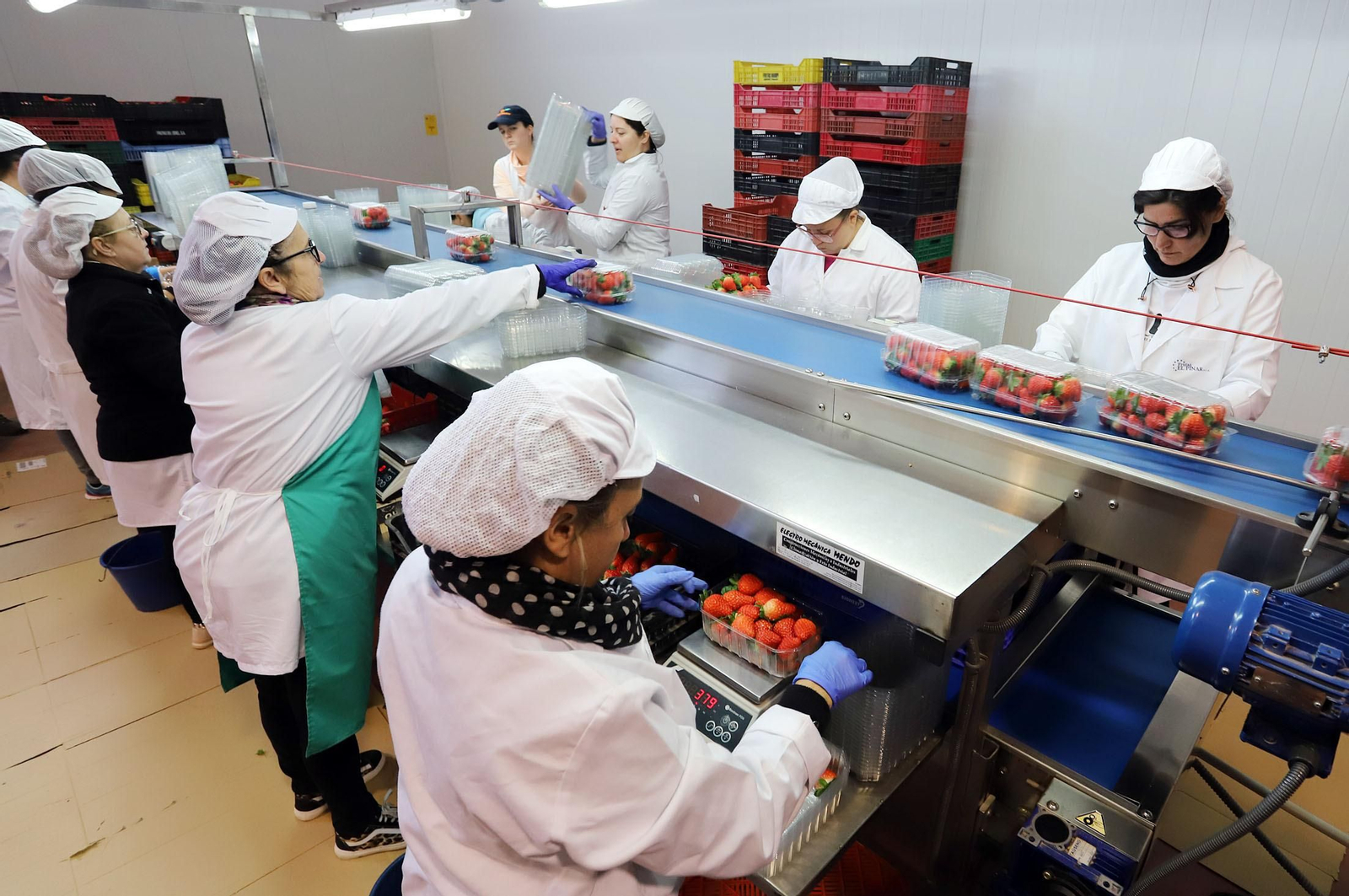 Imágenes de la realidad del trabajo en el campo