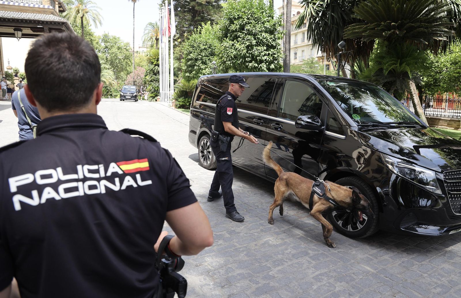 Policía Nacional hace inspecciones del subsuelo y con los perros para la ONU