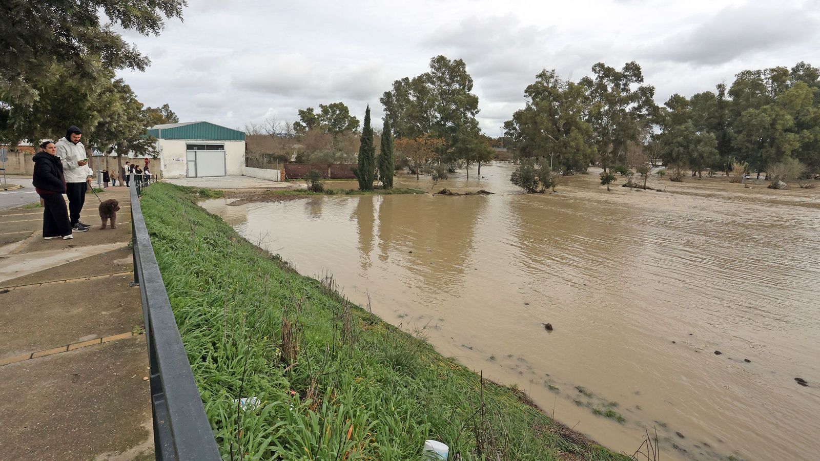 El Guadalete comienza a bajar su nivel poco a poco por la zona rural de Jerez