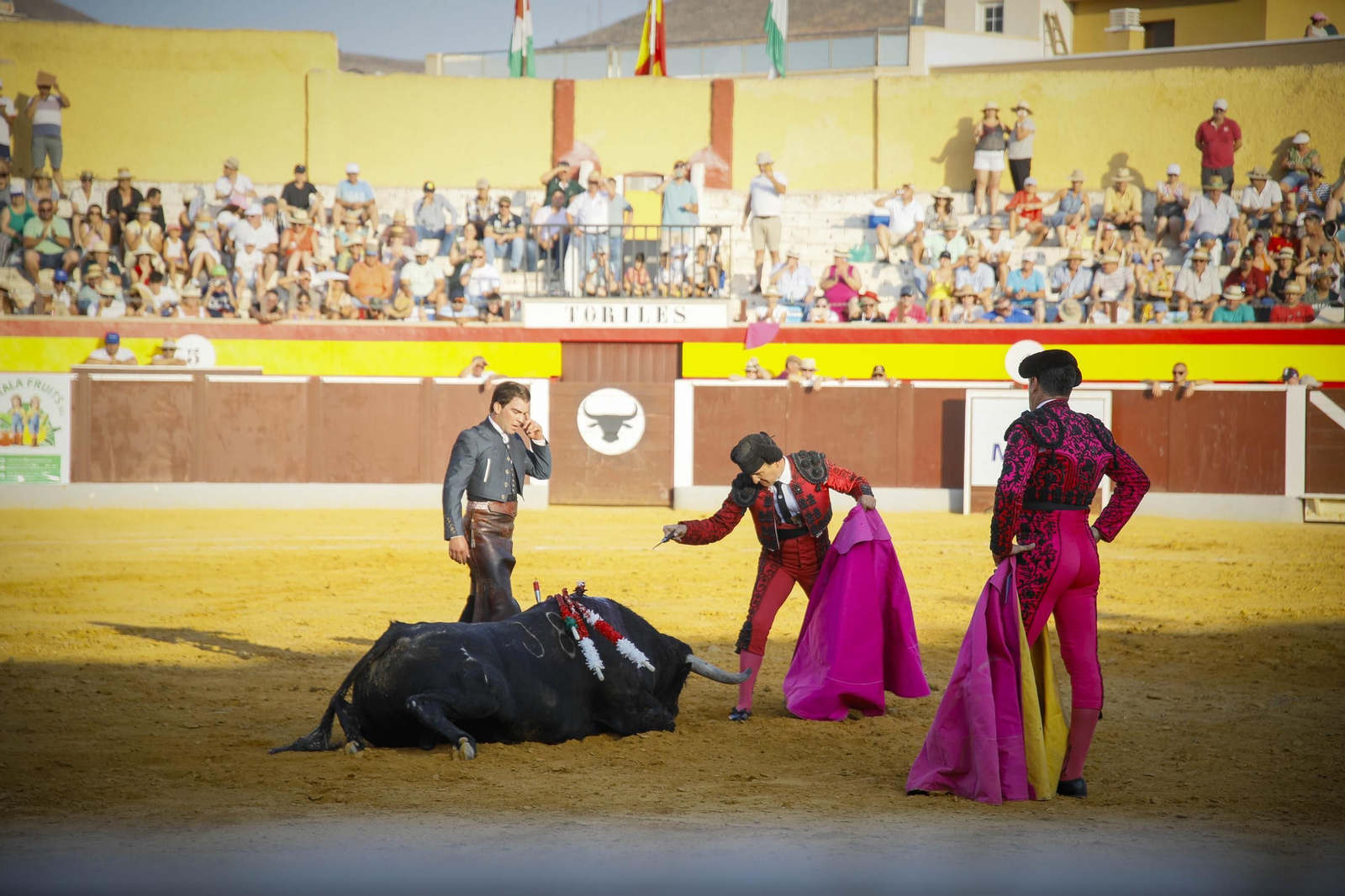 Corrida de toros Berja con un toro indultado, en imágenes