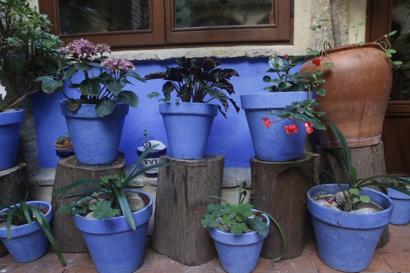 Ruta Judería - San Francisco de los Patios de Córdoba, en imágenes