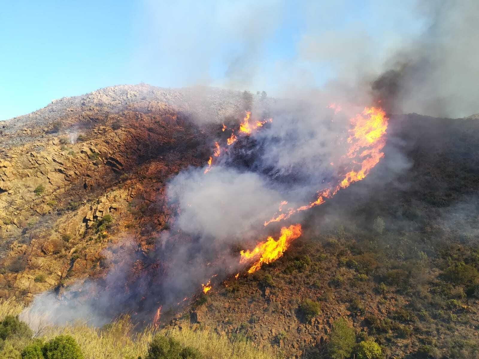 Incendio forestal en Ojén