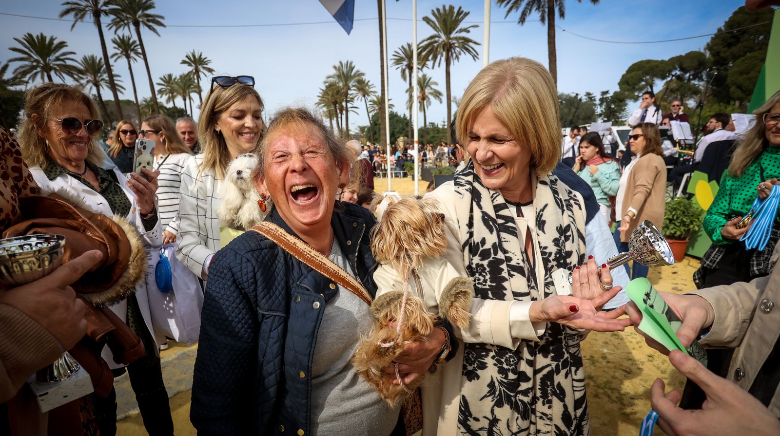 Fiesta de san Antón 2024 en Jerez