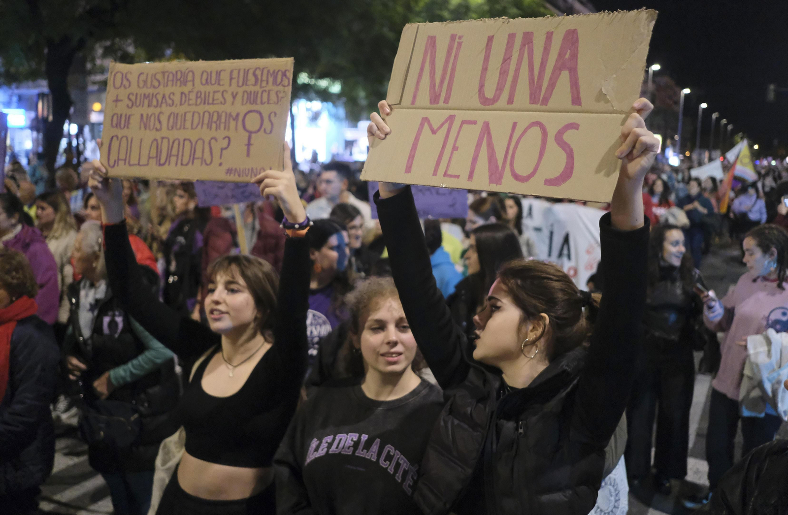 La manifestación en Córdoba contra la violencia de género, en fotografías
