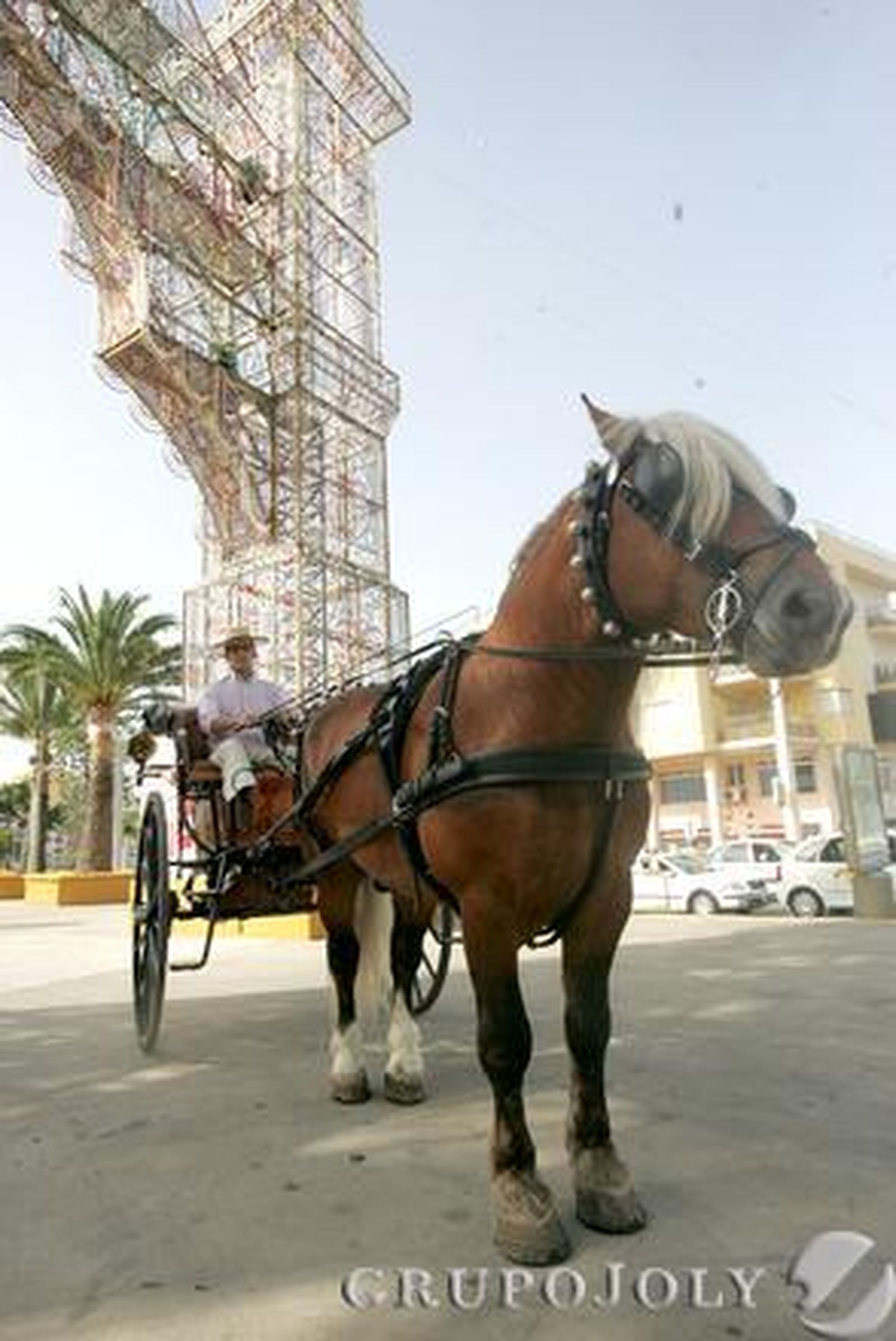 Foto: J.M.Q. / Erasmo Fenoy