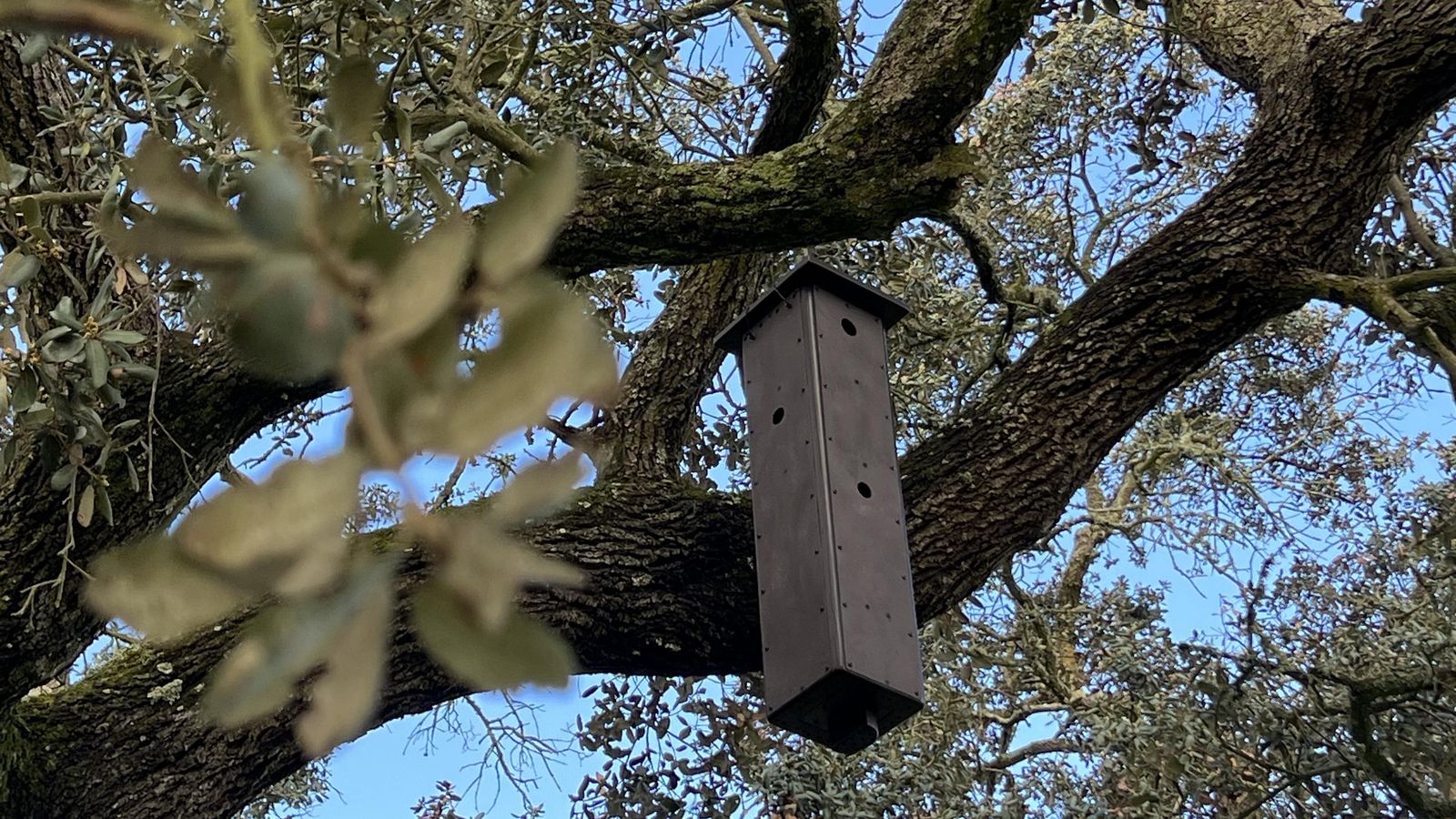 Nuevas cajas de biodiversidad.