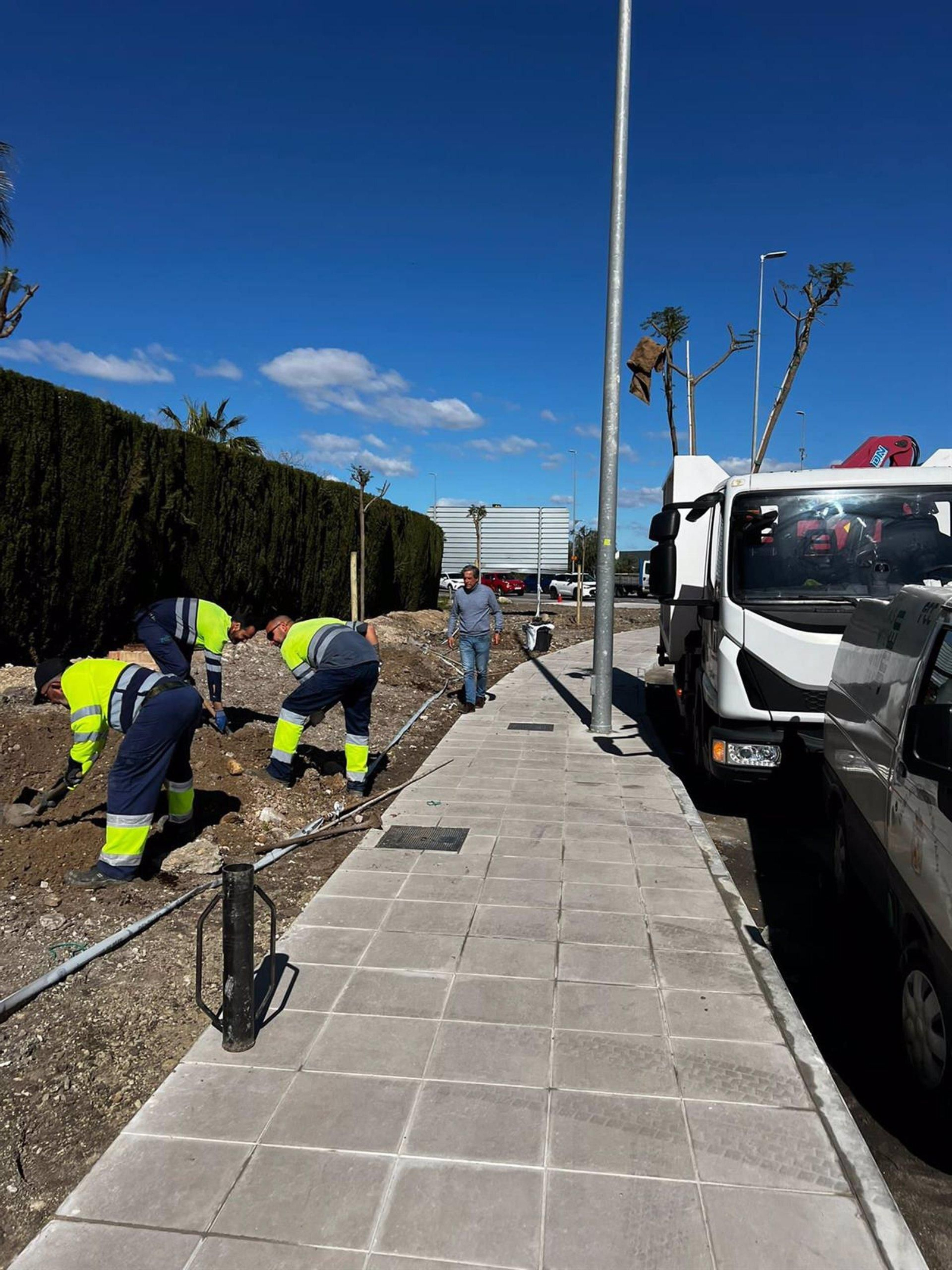 Rematan el acceso peatonal del Jaén Plaza con la plantación de 20 nuevas jacarandas Rematan el acceso peatonal del Jaén Plaza con la plantación de 20 nuevas jacarandas