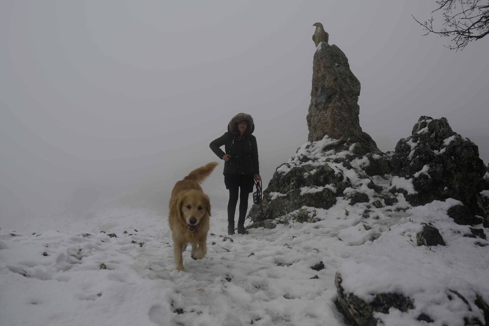 Los visitantes no dudaron en acudir con sus mascotas para disfrutar de los paisajes nevados de forma conjunta.