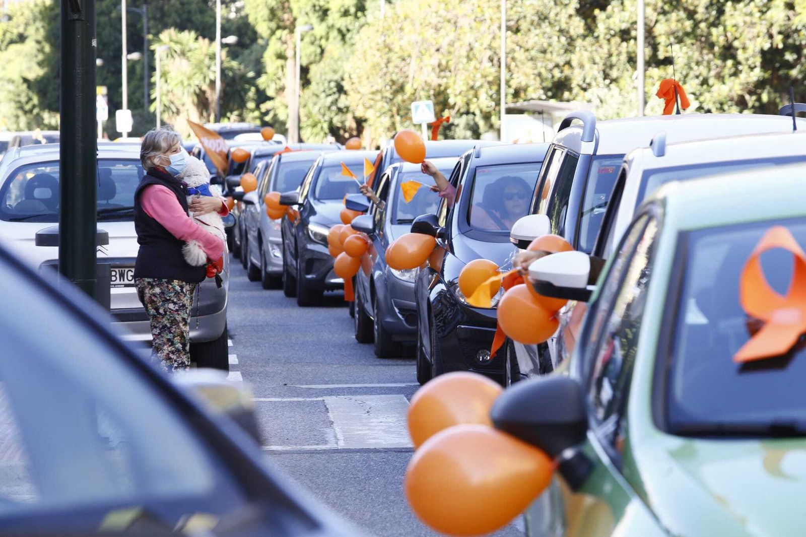 Fotos de la manifestación en Málaga contra la Ley Celaá