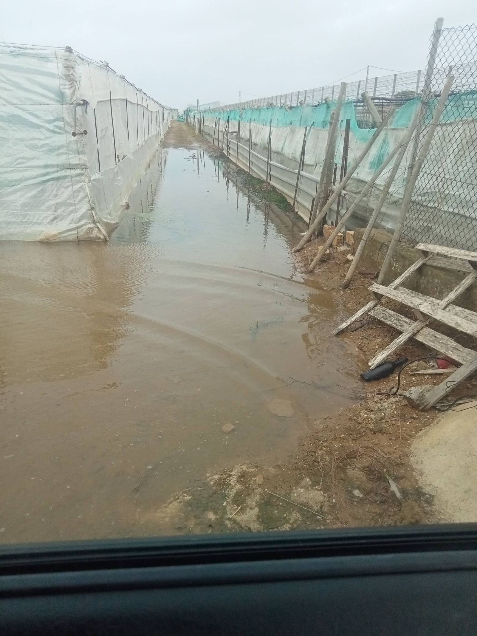 Cultivos inundados en el campo chipionero.