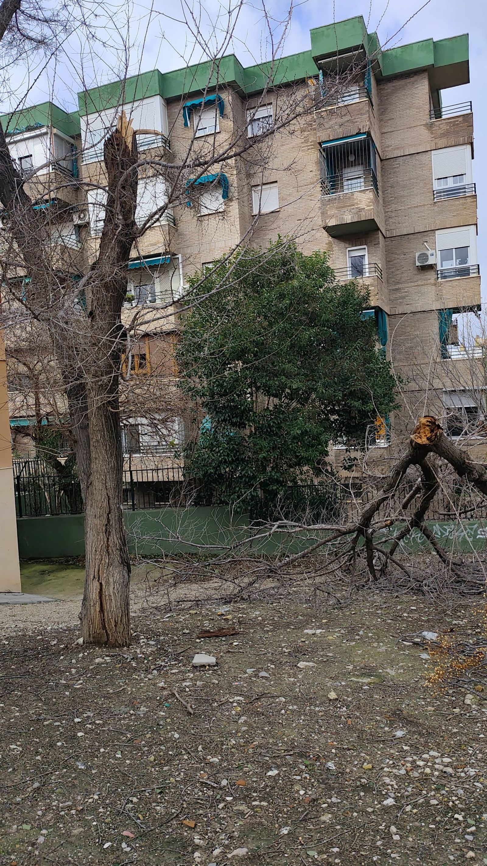 WhatsApp Image 2026-01-28 at 15.53.43 (2)