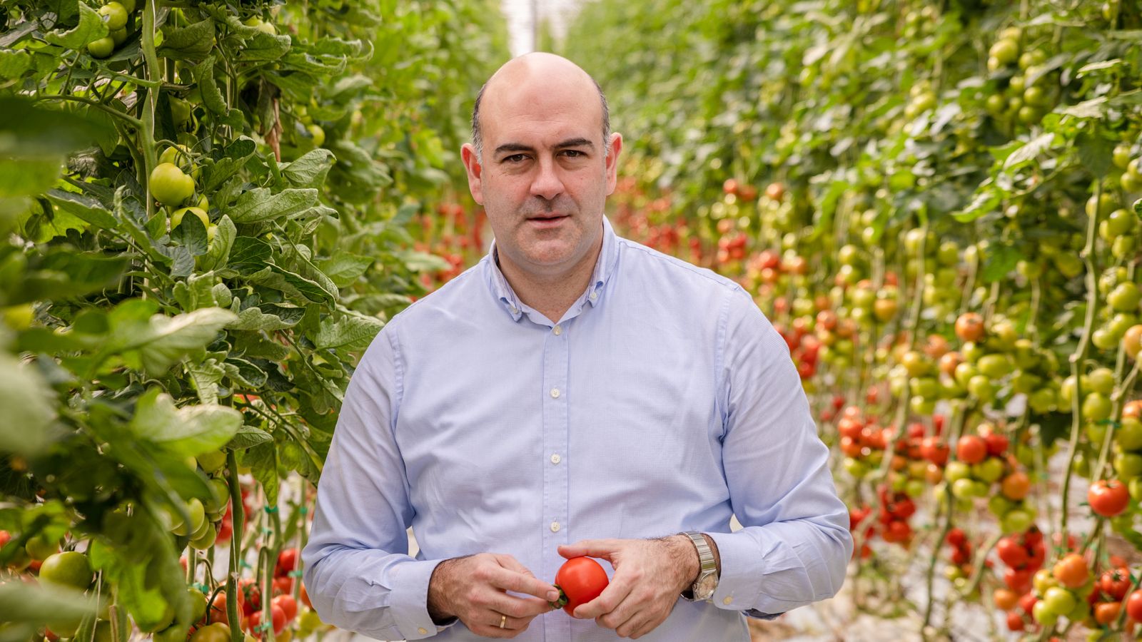 Jesús Barranco, director general.