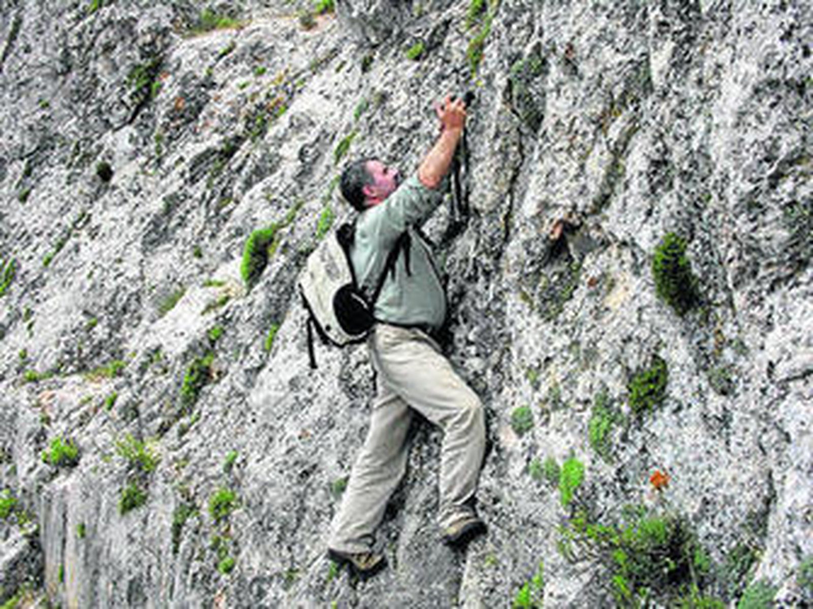 1. Luis Posadas intentando tomar una foto en la muela de moltalviche, en la sierra de María. 2. En el desierto de tarbernas en una zona  donde el agua aflora, gota a gota y provoca que se produzcan estas formaciones. 3. Mata rastrera encontrada en agosto en la Sierra de María (Lythrum baeticum). 4. Socios fundadores de la asociación, en un cortijo típico de la Sierra del Trebolar (Adra). 5. Orchis itálica que encontramos en la Sierra de Adra, y de la cual sólo  hay alrededor de 10 ejemplares. 6. Scilla hyacinthoides, nueva para la flora almeriense, en la Sierra de Gádor.