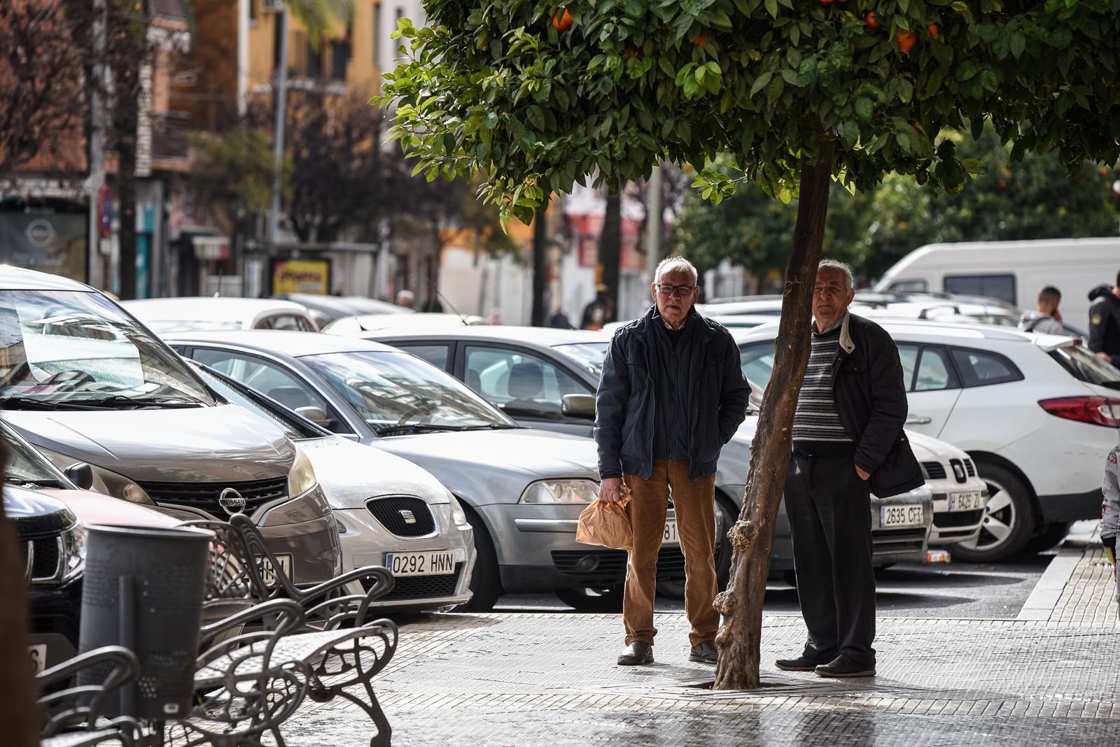 Imágenes de la mañana del domingo 12 de febrero en Huelva