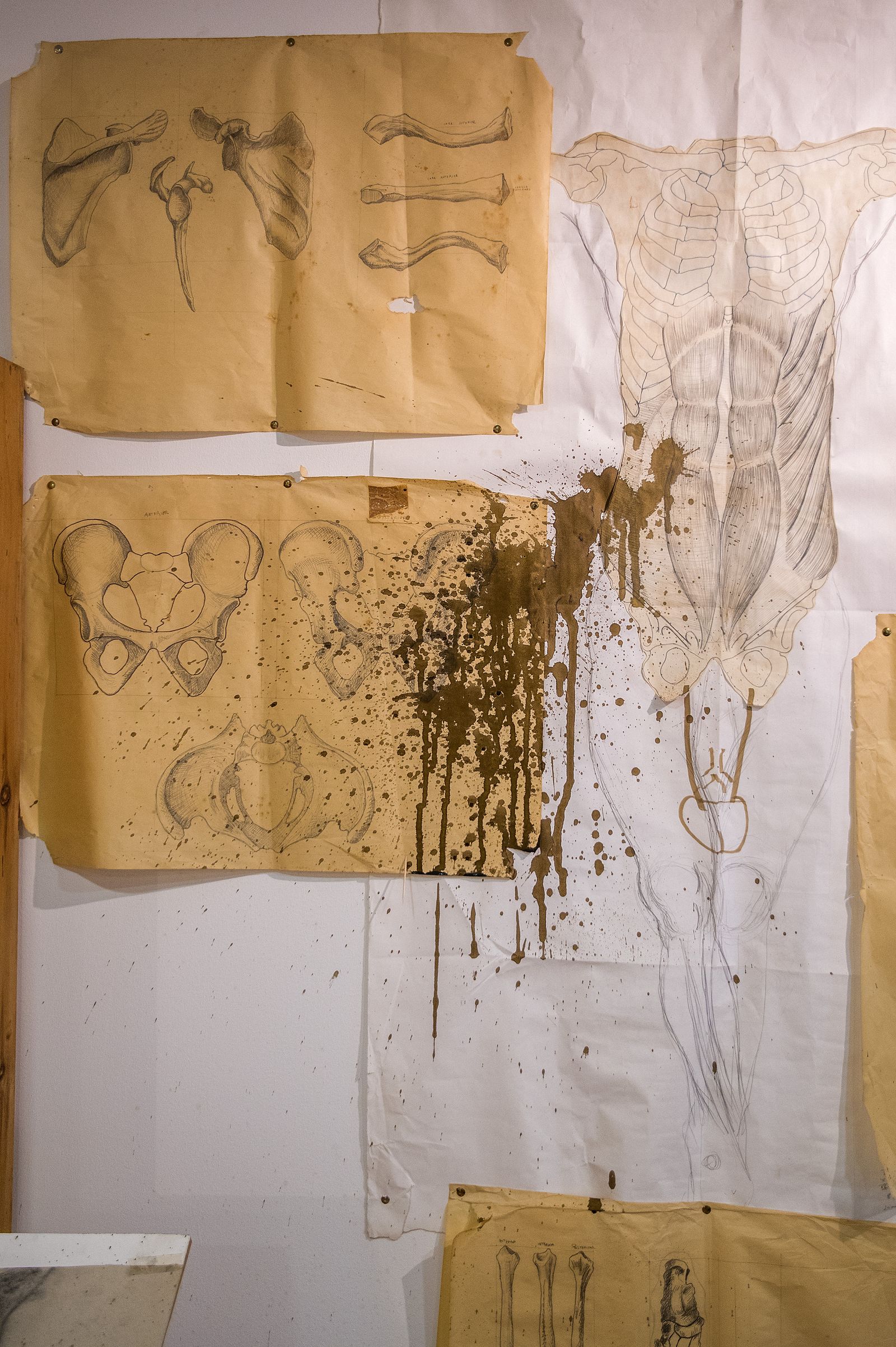 El estado de la Hacienda Nuestra Señora de los Remedios, en Espartinas