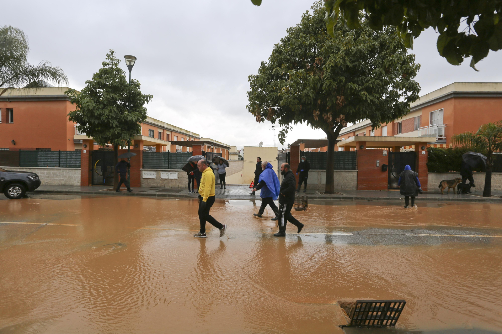 Campanillas anegada tras las lluvias, en fotos