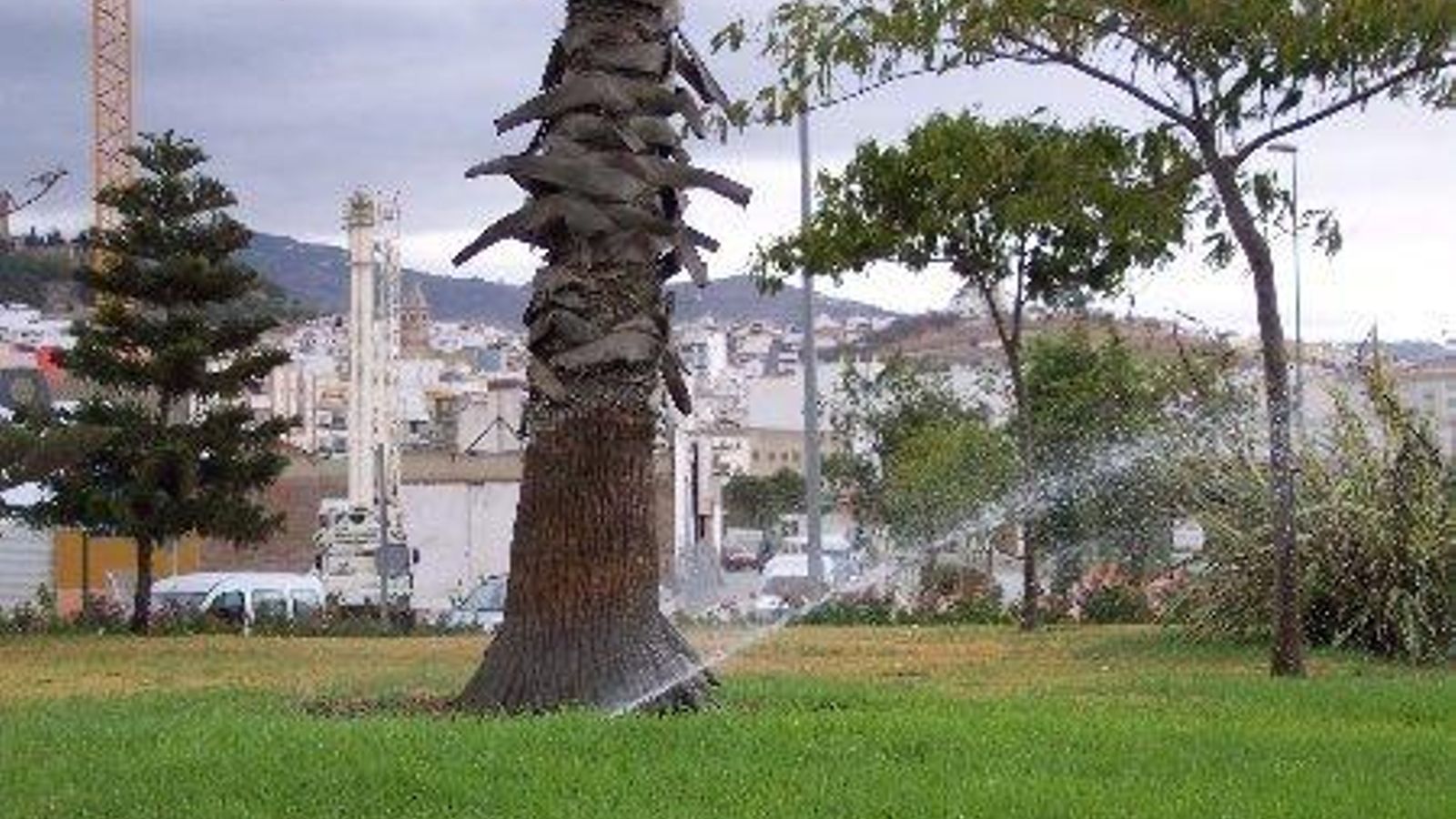 Una imagen de archivo de zona verde regándose en Málaga.
