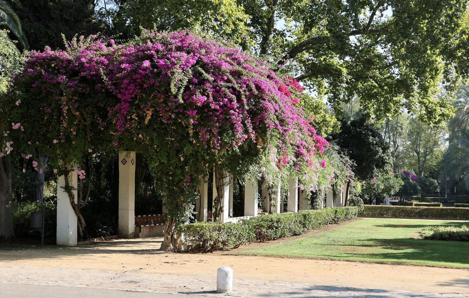 El Parque de Marís Luisa, uno de los principales monumentos de Sevilla