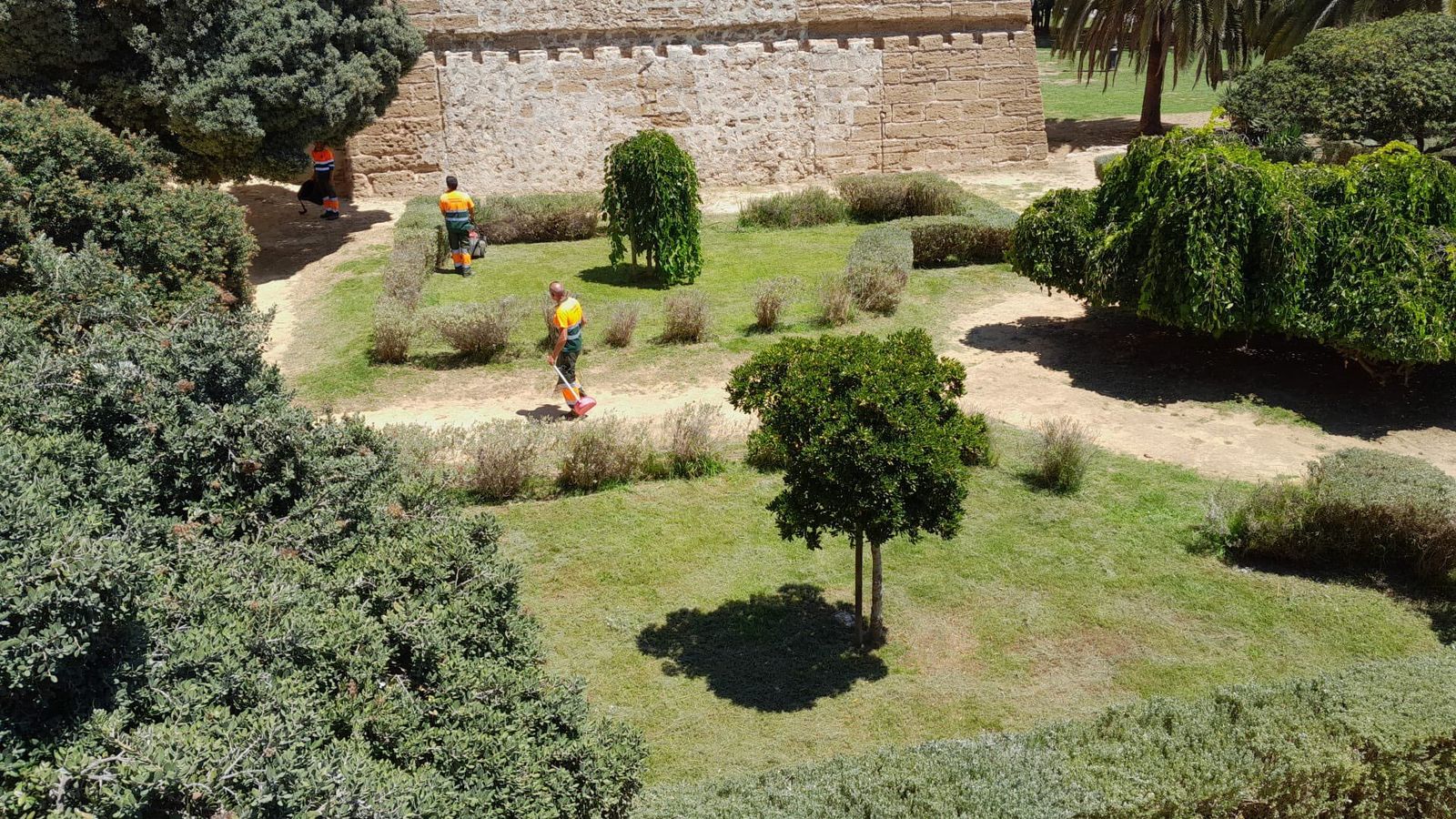 Imagen del foso del Pelícano subida a Twitter hoy mismo por el concejal José Carlos Teruel.