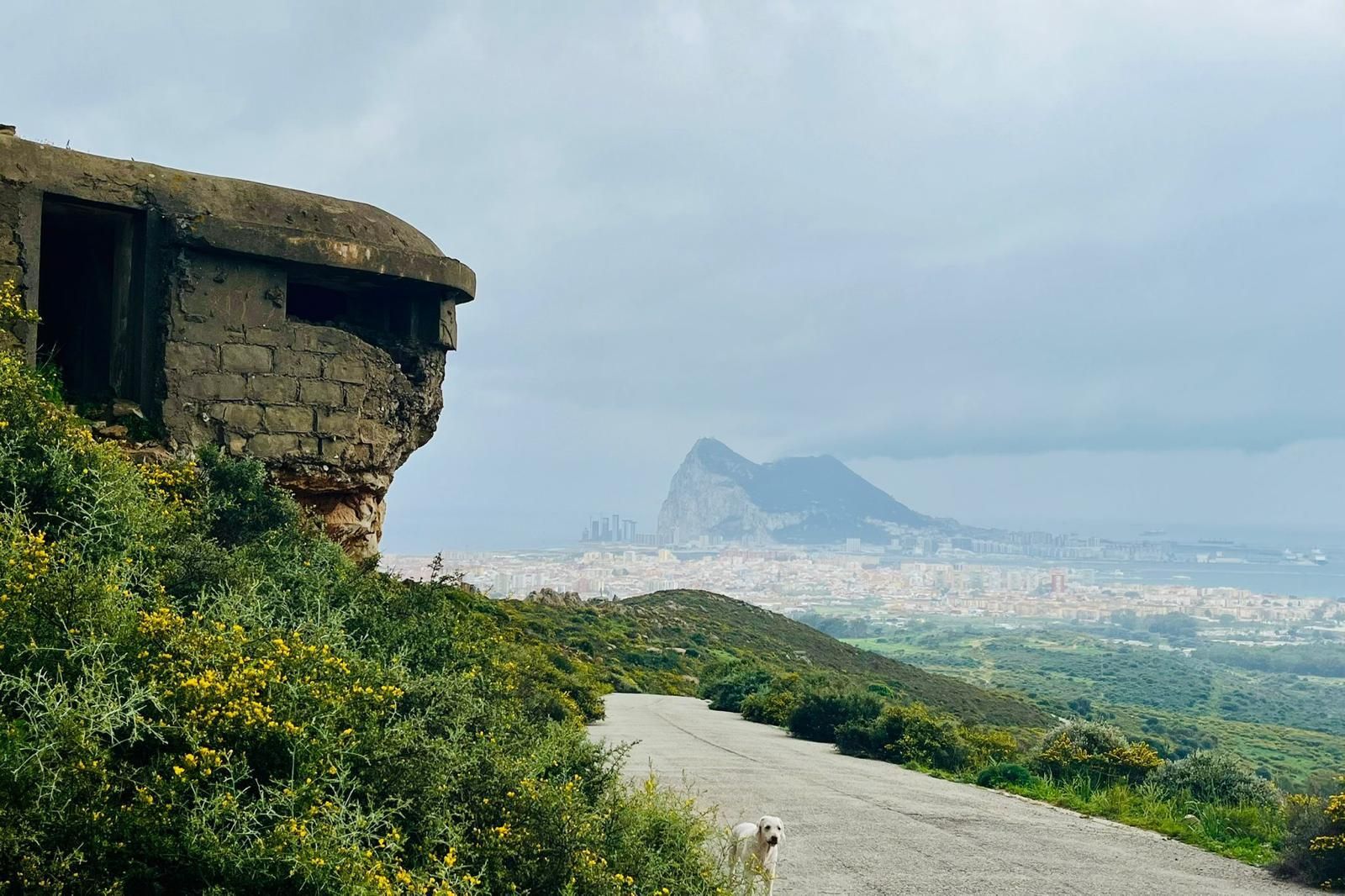 Búnker ubicado en la carretera de subida a la zona militar de Sierra Carbonera.