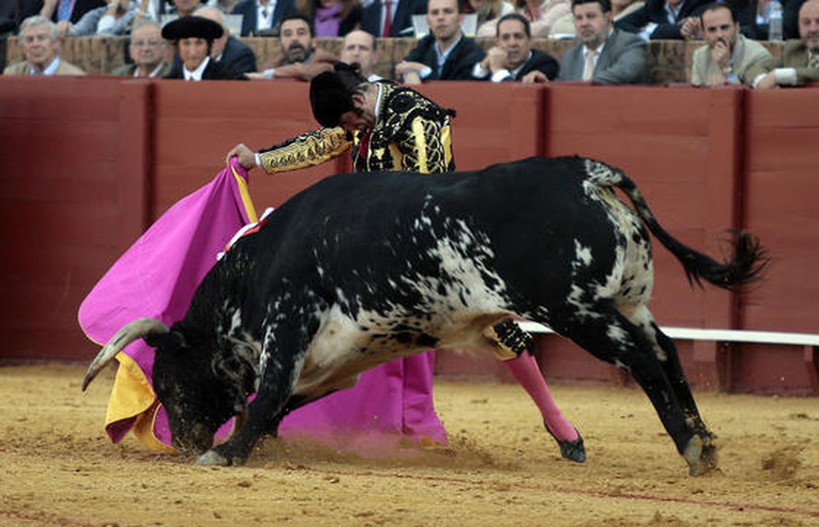 Morante./ Juan Carlos Muñoz