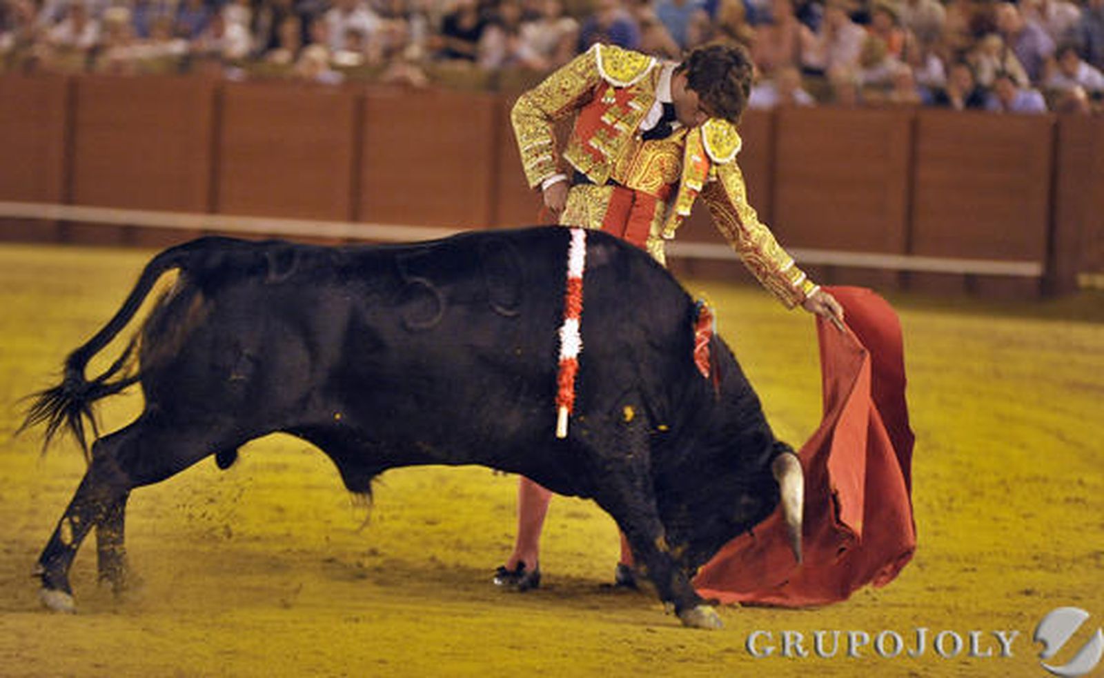 Rafael Serna, con el segundo novillo.

Fotos: Juan Carlos Vázquez