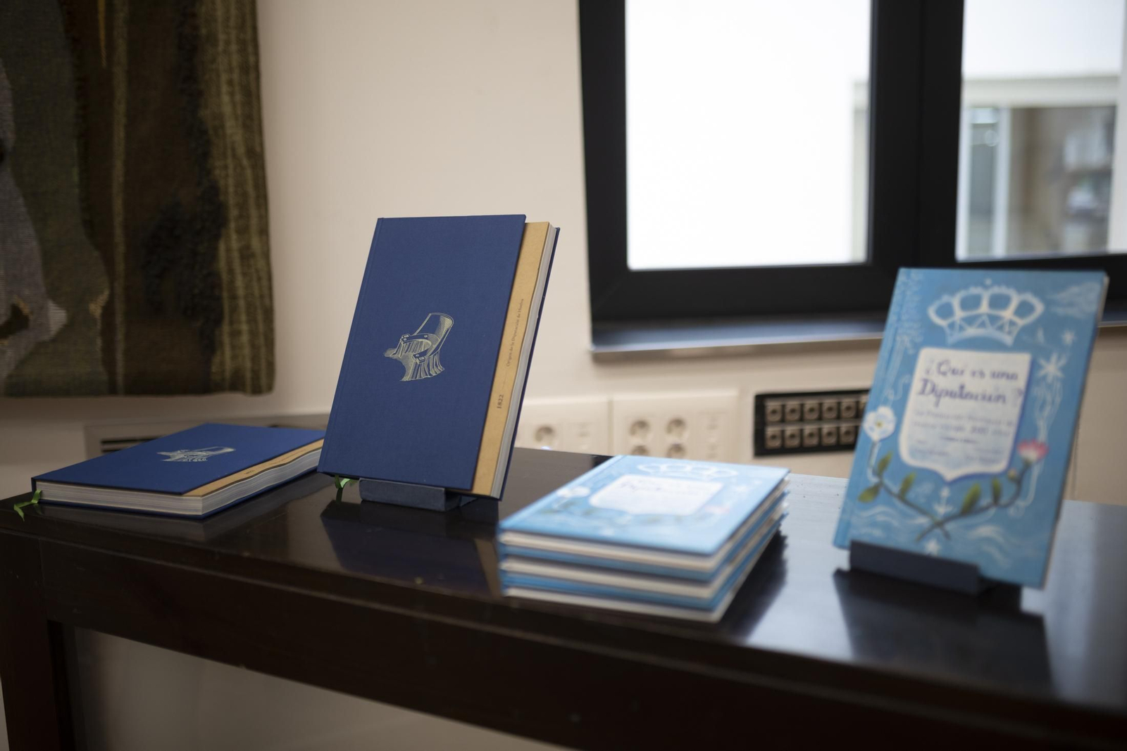 Imágenes de la presentación de diputación