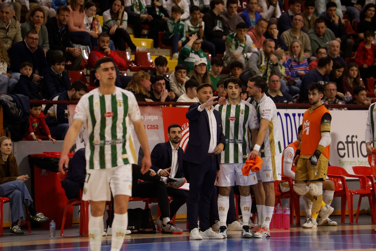 Las mejores fotos del ambiente en Vista Alegre para el Córdoba Futsal - O Parrulo Ferrol