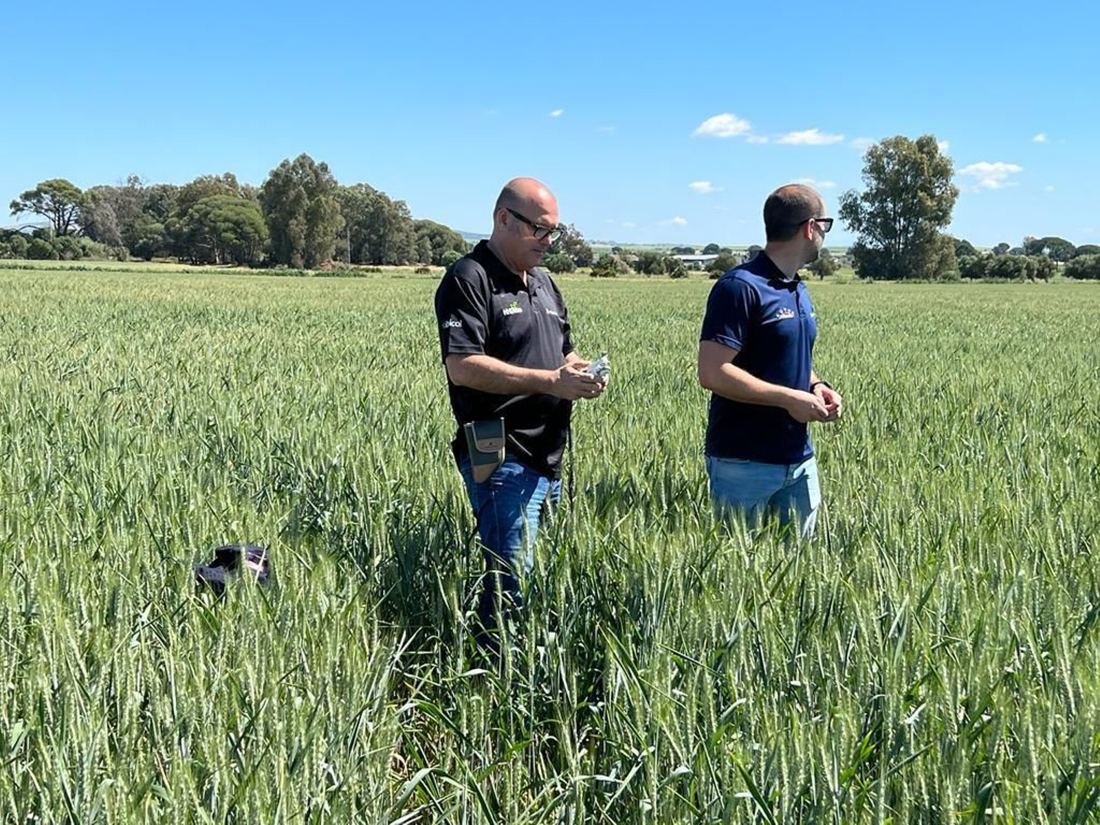 Gerente de Ecoculture, Ángel Ruiz Serna.