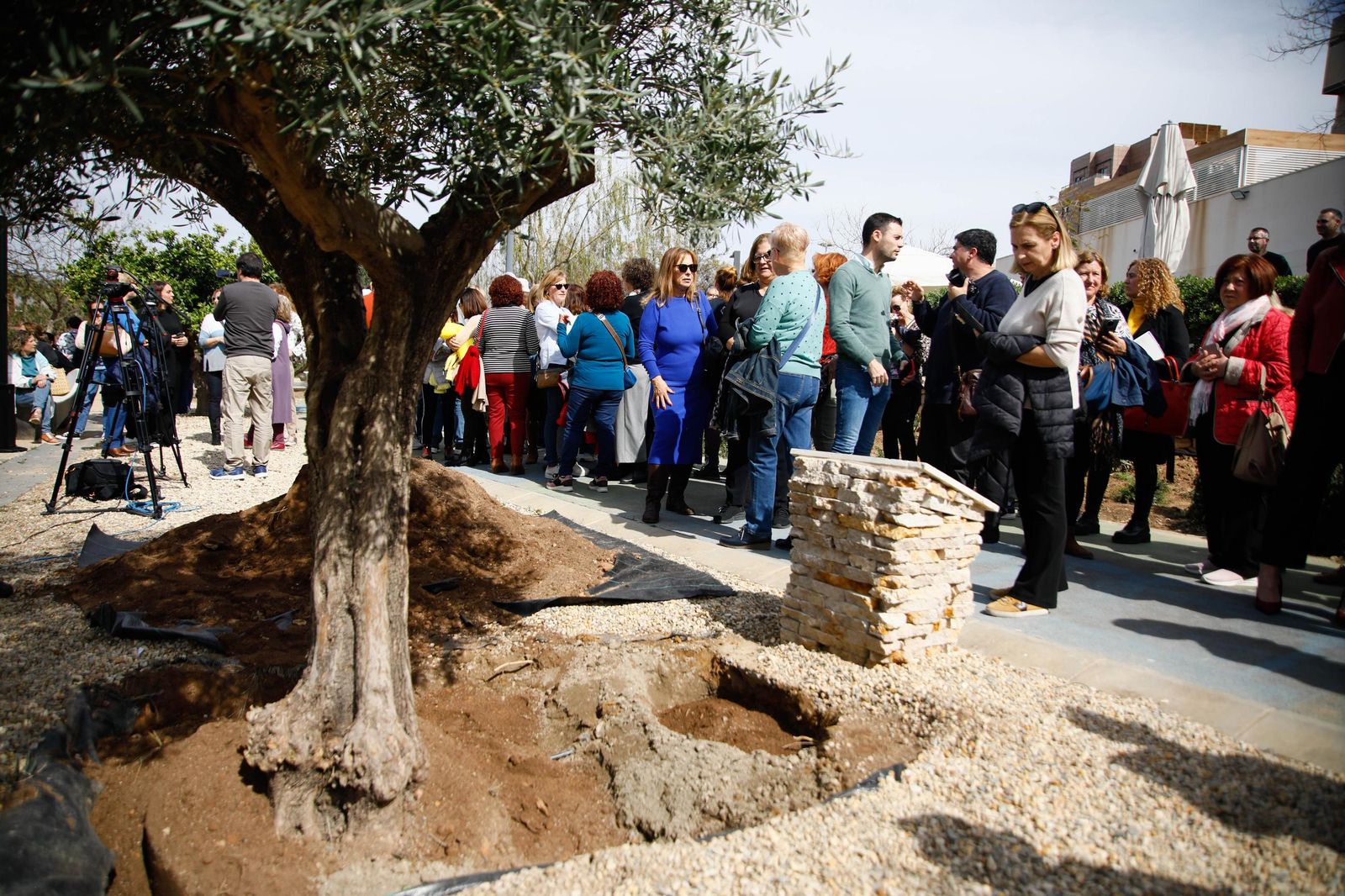 Las imágenes de la plantación de un olivo y el entierro de una cápsula del tiempo