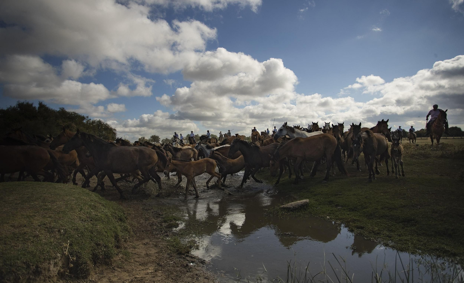 La Saca de las Yeguas, en imágenes