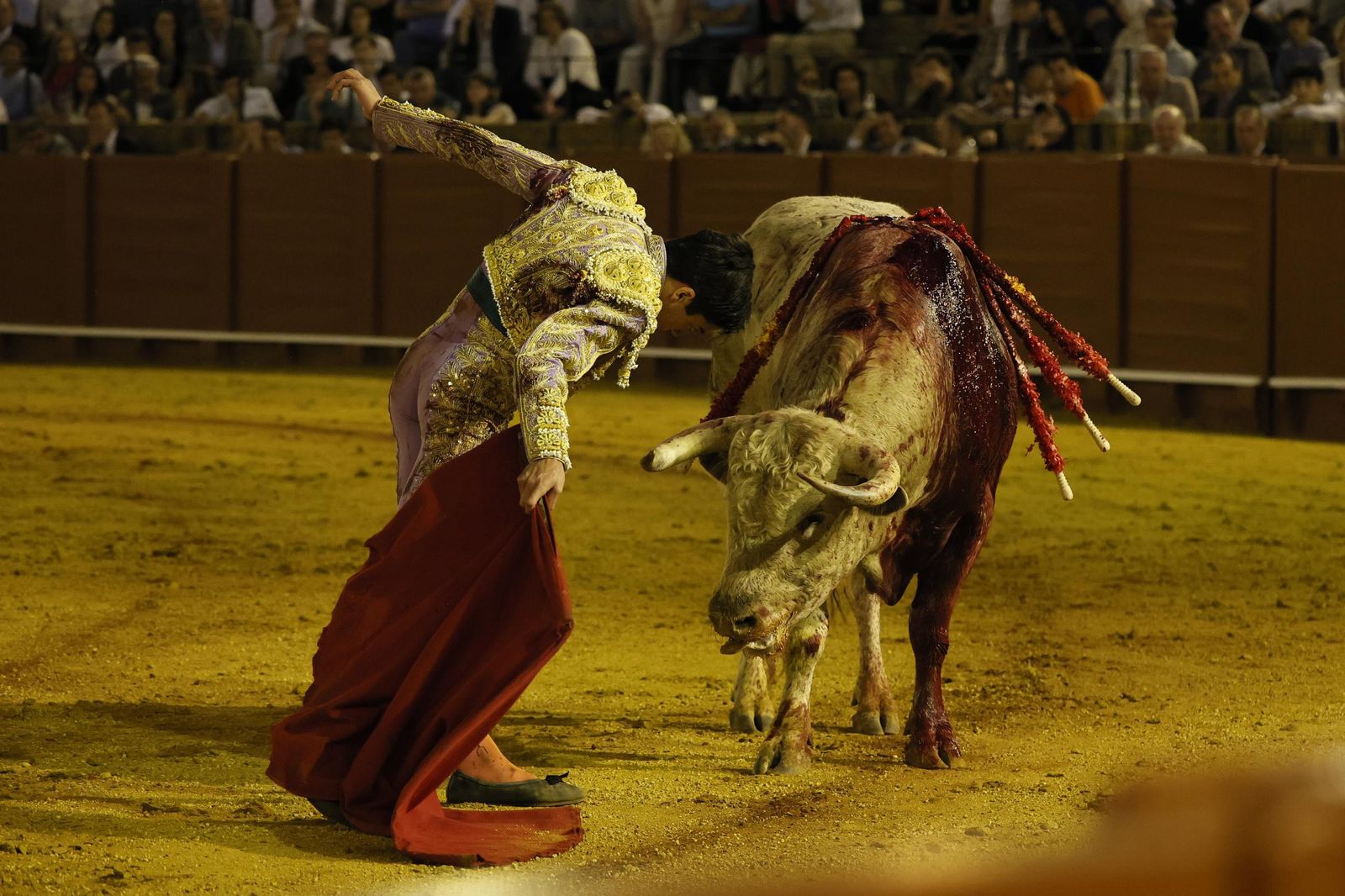 Las imágenes de la Novillada