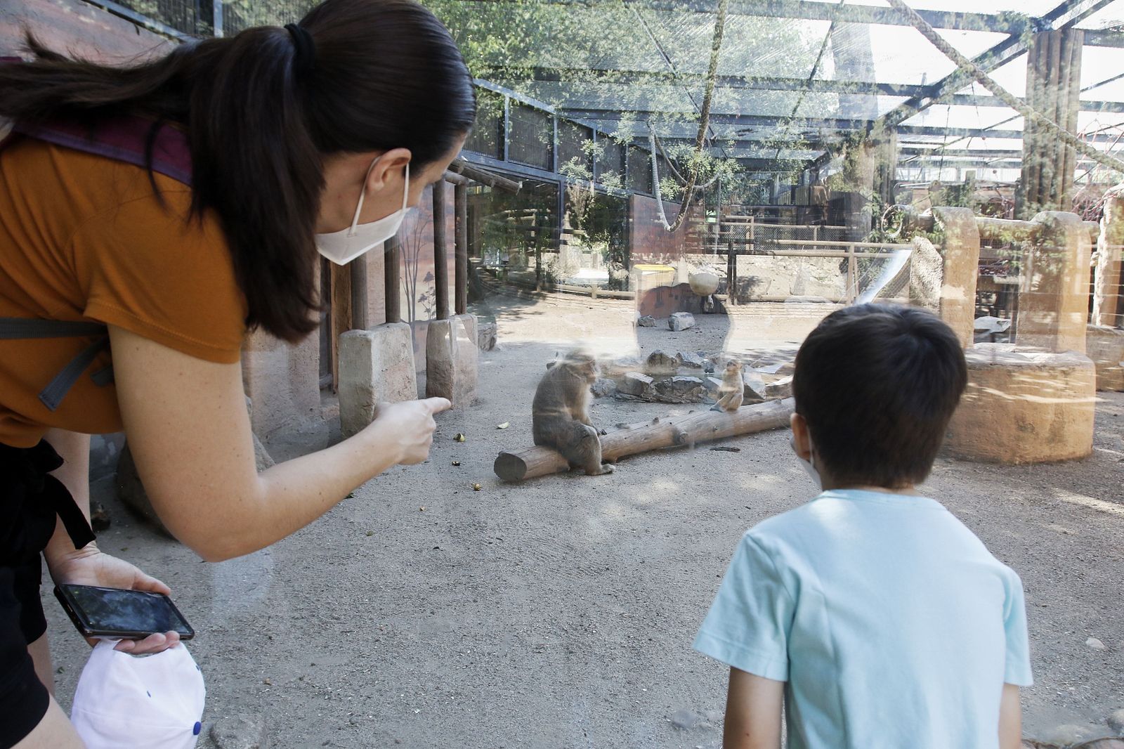 Las fotografías de la reapertura del Zoo de Córdoba tras el coronavirus