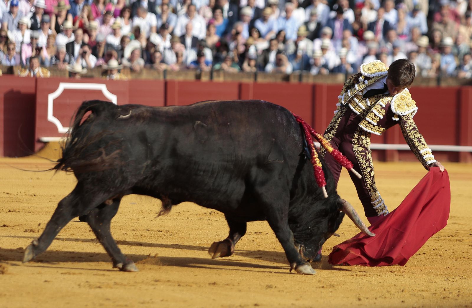 Las imágenes de la undécima de abono de la Maestranza