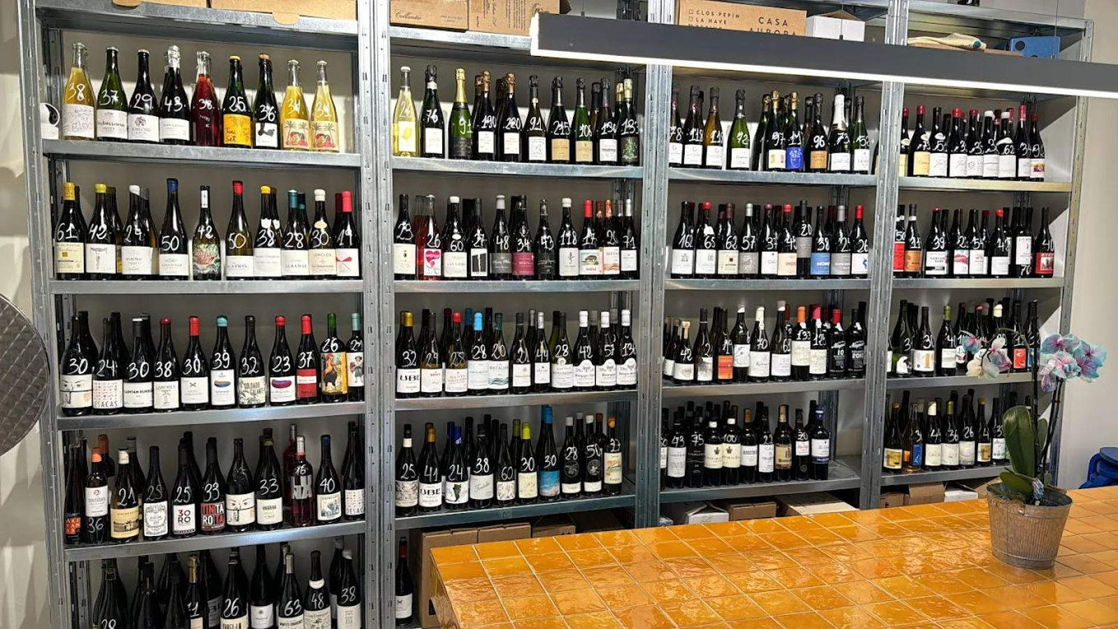 Albariza en las Venas (Jerez). Un local de diseño para que la gente joven se sienta a gusto bebiendo vino