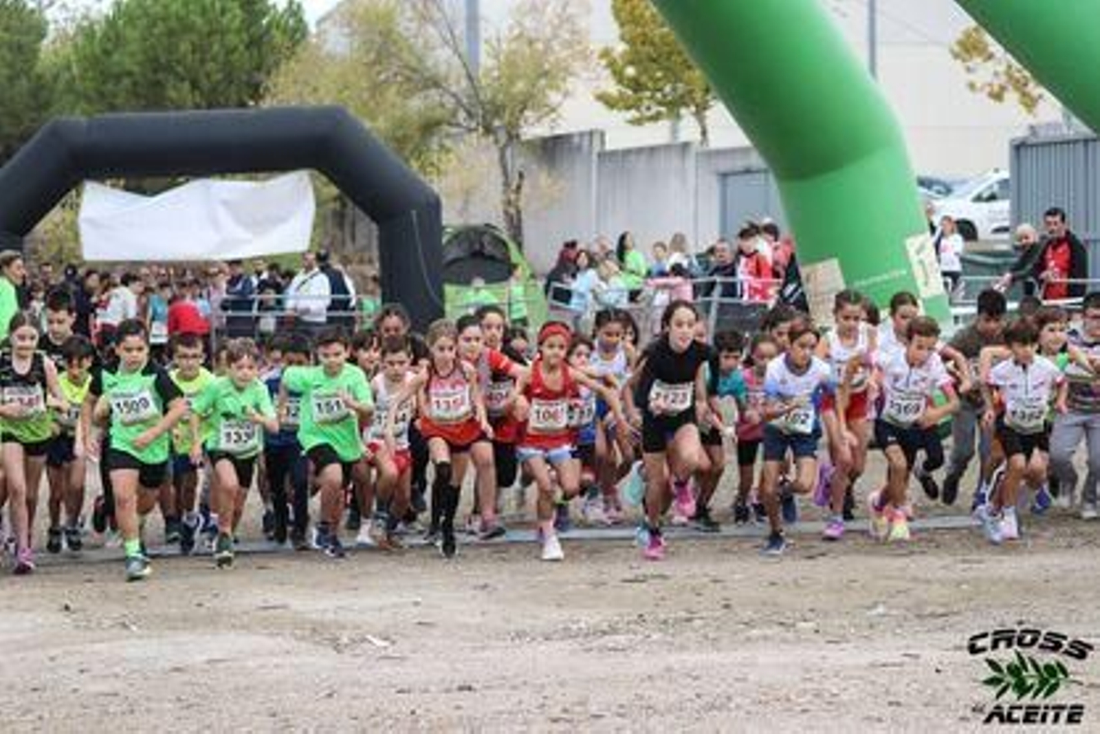 La emoción de la 39 edición de la Cross del Aceite de Torredonjimeno, en imágenes