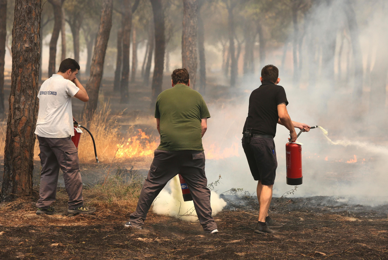 Las consecuencias del incendio en Mazagón