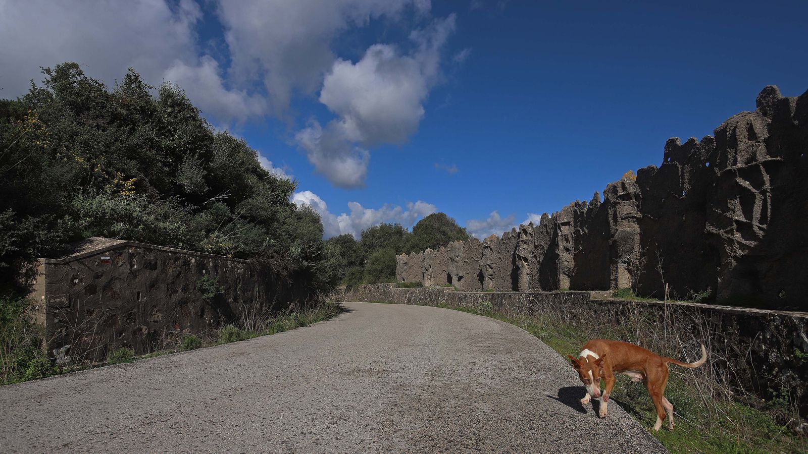 Carretera de Las Pantallas en Algeciras