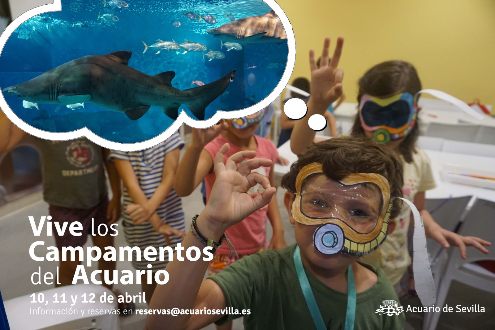 Un niño participa en las actividades lúdico-educativas del acuario.